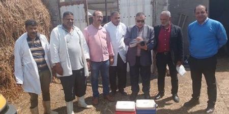 تحصين191ألف رأس ماشية ضد الحمى القلاعية والوادي المتصدع بالدقهلية