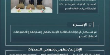 حرس الحدود بعسير يقبض على 3 مخالفين لنظام أمن الحدود لتهريبهم 75 كلجم من نبات القات المخدر