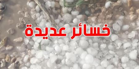 اتحاد الفلاحة: نفوق عدد من رؤوس الماشية بالكاف بسبب الأمطار والبرد.. ومطالب بالتعويض