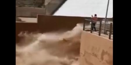عاجل/ بعد تنفيس سُد ولجة ملاق الجزائري نحو تونس..اتحاد الفلاحة يكشف ويُطمئن التونسيين..