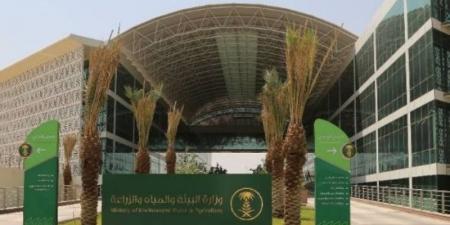 المملكة تنضم إلى اتفاقية الفاو لمكافحة الصيد البحري