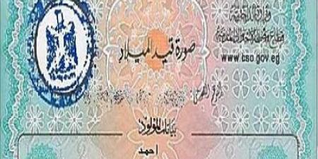 خطوات استخراج شهادة الميلاد عبر الإنترنت بسهولة