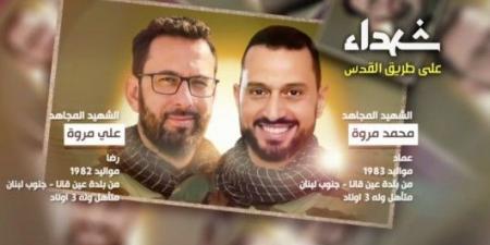 محمد وعلي مروة.. رفاق السلاح والدم والتراب