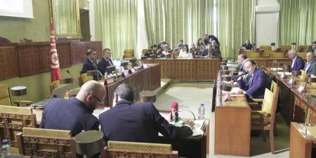 بين تونس وإيطاليا: جلسة عامة للمصادقة على اتفاق الاعتراف المتبادل برخص السياقة