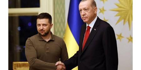 زيلينسكي يتحدث إلى أردوغان بخصوص محادثات وقف إطلاق النار