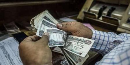 معاش المصريين بالخارج 2025.. خطوات الاشتراك والشروط والمستندات المطلوبة
