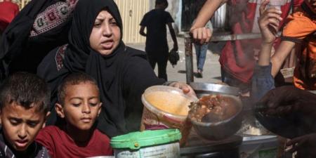 عاجل/ أرقام مفزعة: نصف مليون شخص مهدّدون بالموت جوعا في غزة