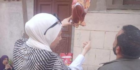 ضبط طن مخللات ودجاج ولحوم وتحرير في حملة تموينية بالدقهلية