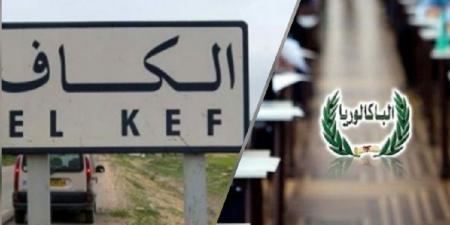 الكاف.. 3538 مترشحا لامتحان الباكالوريا
