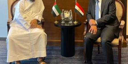 وزير الخارجية يلتقي وزير الدولة الإماراتي في بغداد