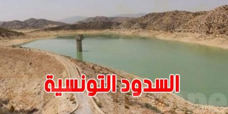 تحسّن الوضع المائي في تونس: سدود تقترب من مليار متر مكعّب بعد الأمطار الأخيرة