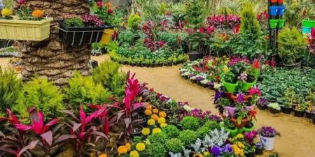 وزارة الزراعة تعلن تفاصيل تمديد معرض زهور الربيع حتى نهاية مايو