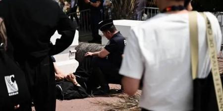 نخلة سقطت على رأسه.. إصابات بالغة لمنتج ياباني في مهرجان كان