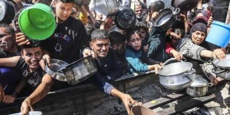 أقل من القليل.. إسرائيل أدخلت خمس شاحنات مساعدات إلى غزة بدلاً من تسع