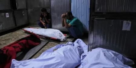 ارتفاع حصيلة شهداء حرب الإبادة الإسرائيلية على قطاع غزة إلى 55,432