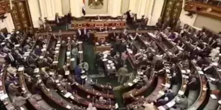 وزير الثقافة أمام النواب: عدم غلق أي مكان ثقافي مؤثر وله نشاط على أرض الواقع