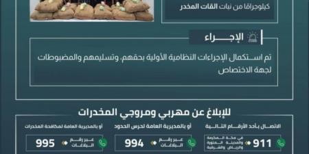 القبض على (13) مخالفًا لتهريبهم (320) كيلوجرامًا من القات المخدر