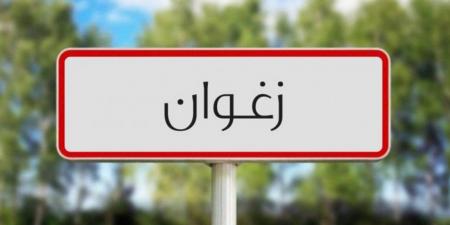 زغوان: انطلاق اشغال الندوة الإقليمية الخامسة حول " الإدماج الاقتصادي للمرأة وتحقيق التنمية في أفق 2030 "