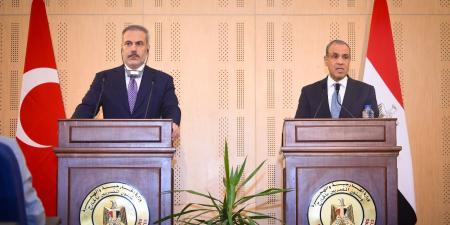 وزير الخارجية ونظيره التركي يؤكدان ضرورة التصدى لغطرسة القوة التي تنتهجها إسرائيل