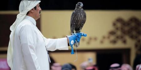 بيع صقرين بـ 180 ألف ريال في الليلة الأولى لمنصة المزاد الدولي