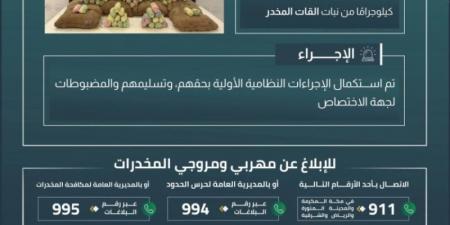 القبض على (6) مخالفين لتهريبهم (120) كيلوجرامًا من القات المخدر