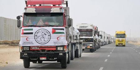 الإمارات تغيث غزة بـ214 شاحنة مساعدات منذ فتح المعابر(فيديو)