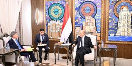 العليمي يدعو المجتمع الدولي لممارسة الضغوط على الحوثيين وتصنيفهم "منظمة إرهابية"