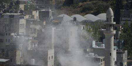 خبير علاقات دولية: مصر تحمي الحق الفلسطيني وترفض مخططات الاحتلال