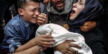 «قتلت 10% من سكان غزة».. تقرير عالمي عن تفوق إسرائيل على النازيين في قتل المدنيين والأطفال