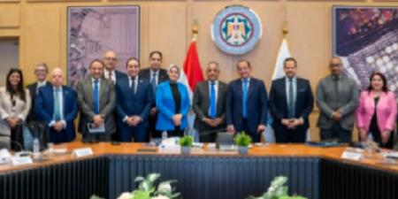 وزير المالية: دعم القطاع الخاص المصري للتوسع في أفريقيا