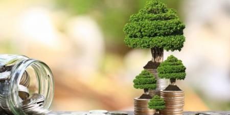 الحكومة المصرية ترفع استثماراتها الخضراء بنسبة 55% خلال 2025-2026