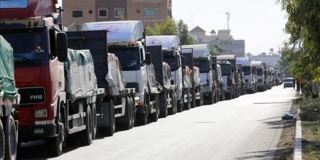 الحكومة الإيطالية: دخول شحنة مساعدات جديدة لغزة ضمن برنامج "الغذاء العالمي"