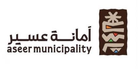 تطوير الخدمات البلدية الرقمية