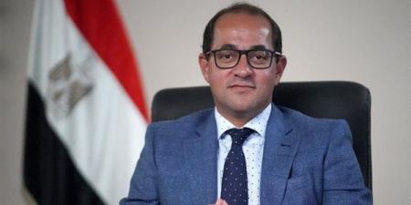 منصة للحوار المستدام بين جمعية رجال الأعمال المصريين الأفارقة ووزارة المالية