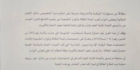 العريبي يرفض تدخل “اللجنة المالية العليا” في عقود النفط والكهرباء ويحذر من تهديد قطاع الطاقة