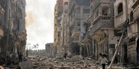 وزير خارجية مصر: لجنة من 15 شخصية فلسطينية ستدير قطاع غزة لمدة 6 أشهر