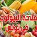 الفلاحة البيولوجية : صادرات تتجاوز المليار دينار ونسبة تفوق المعدلات العالمية