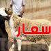 انخفاض أسعار أضاحي العيد في هذه الولاية