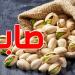 تونس: صابة قياسية في الفستق