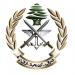 الجيش اللبناني: العثورعلى مسيّرتين اسرائيليتين في حولا وبيت ليف