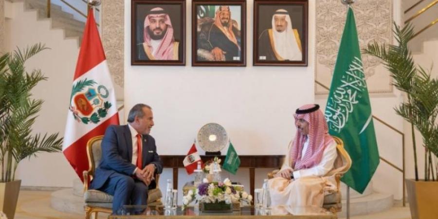 وزير الخارجية ونظيره البيروفي يناقشان عددًا من القضايا الدولية