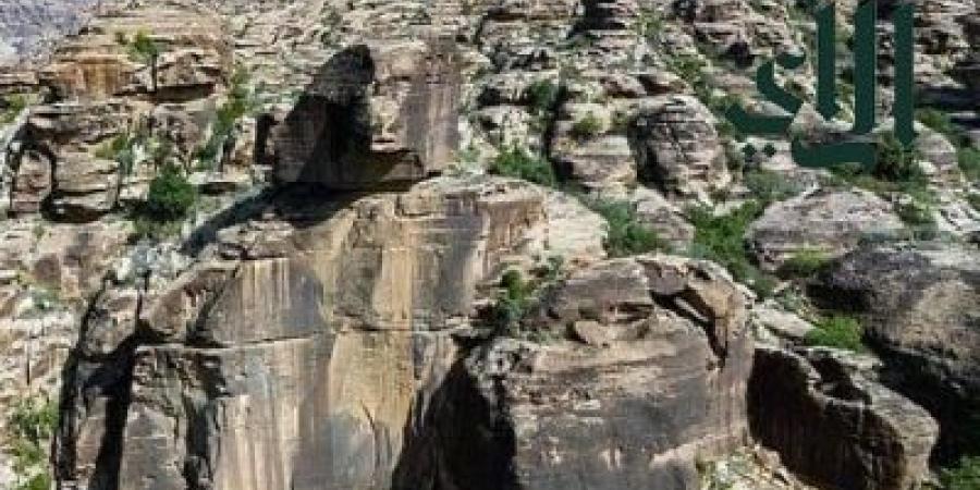 حرس الحدود يقيم معرض "وطن بلا مخالف" في جازان