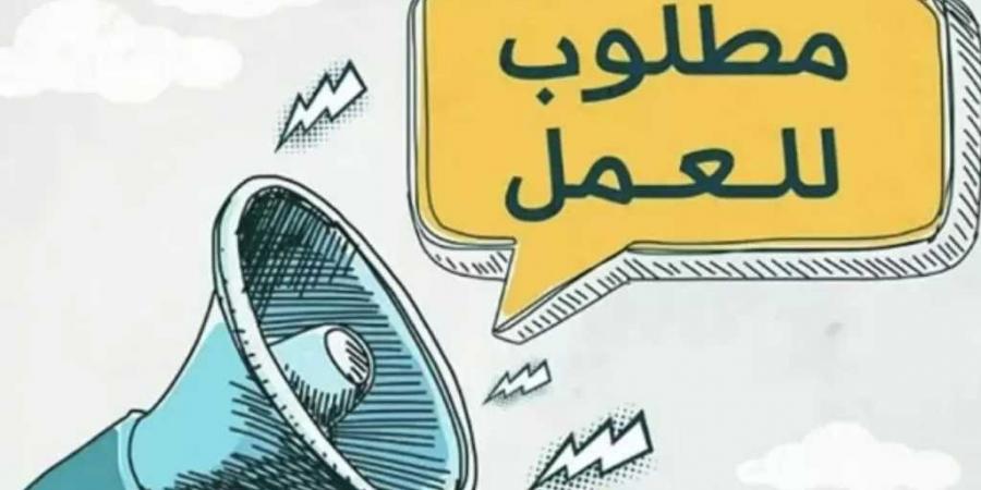 4424 فرصة عمل جديدة للشباب في 12 محافظة.. موعد وطرق التقديم