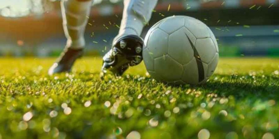 انهزم امام نيجيريا 0 1 : بداية متعثّرة لمنتخب الأواسط في ال«كان»