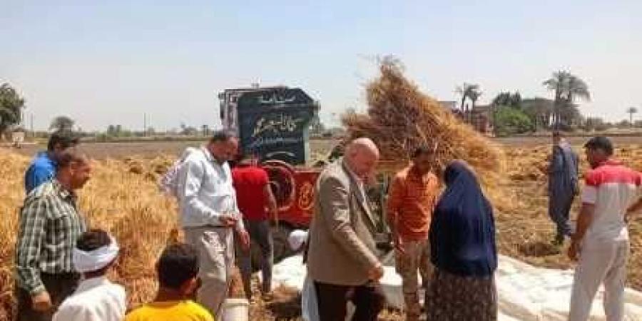 الإصلاح الزراعي يتابع حصاد القمح بالمحافظات