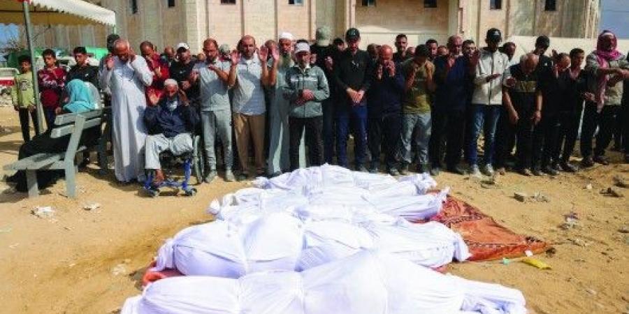 48 يومًا من المجازر بعد نقض التهدئة: غزة تحت نار الاحتلال