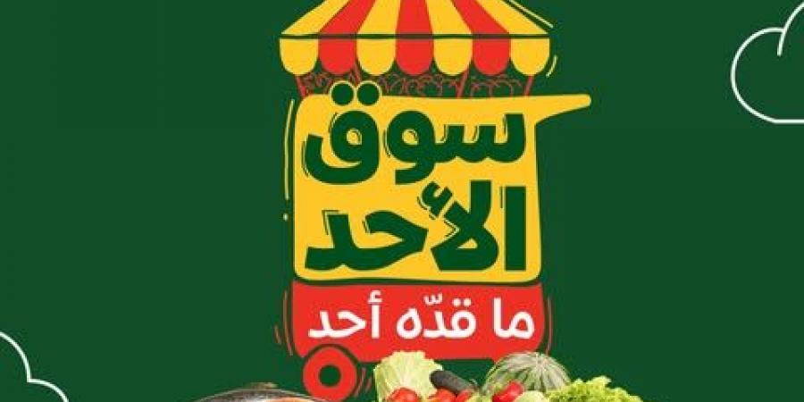 عروض بنده الاحد 4 مايو 2025 الموافق 6 ذو القعدة 1446 عروض الطازج