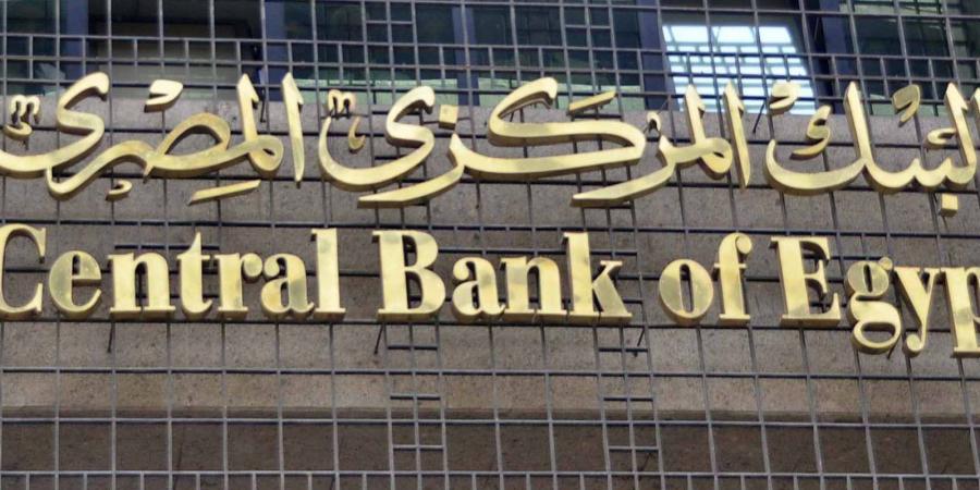 المركزي: ارتفاع صافي تدفقات الاستثمار الأجنبي المباشر إلى 6 مليارات دولار