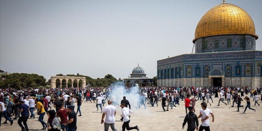 عشرات المستوطنين يقتحمون باحات "الأقصى" تحت حماية شرطة الاحتلال
