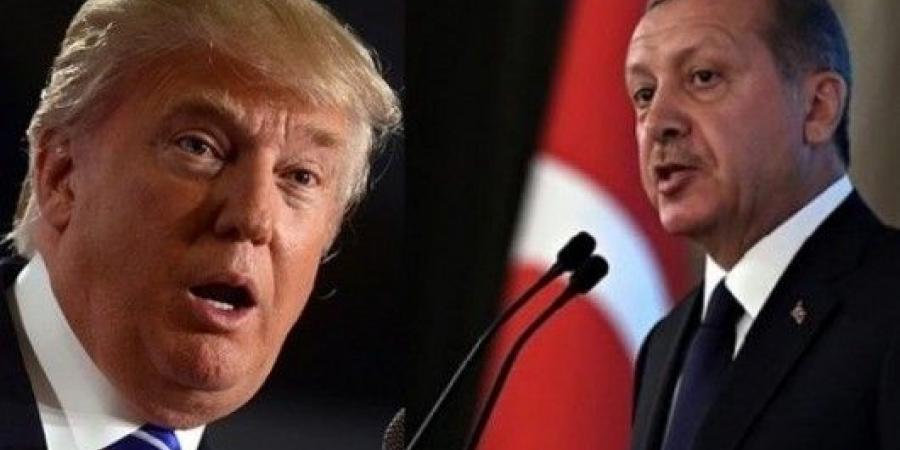 إردوغان في اتصال مع ترامب: نبذل جهوداً لحماية وحدة سوريا